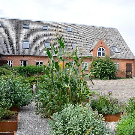 Lundsgaard Bed & Breakfast Faaborg Exterior photo