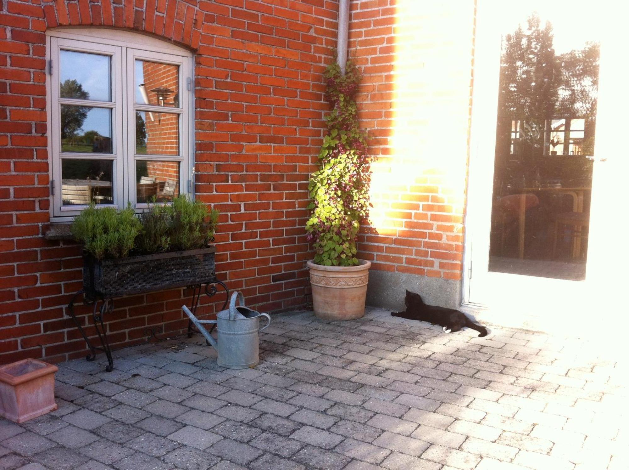 Lundsgaard Bed & Breakfast Faaborg Exterior photo