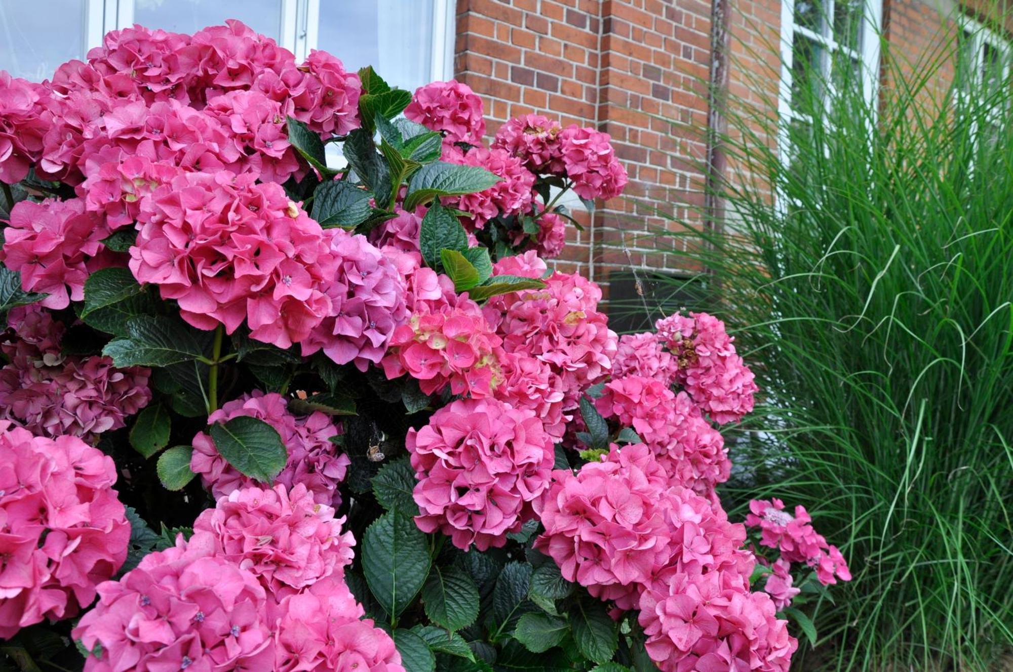 Lundsgaard Bed & Breakfast Faaborg Exterior photo